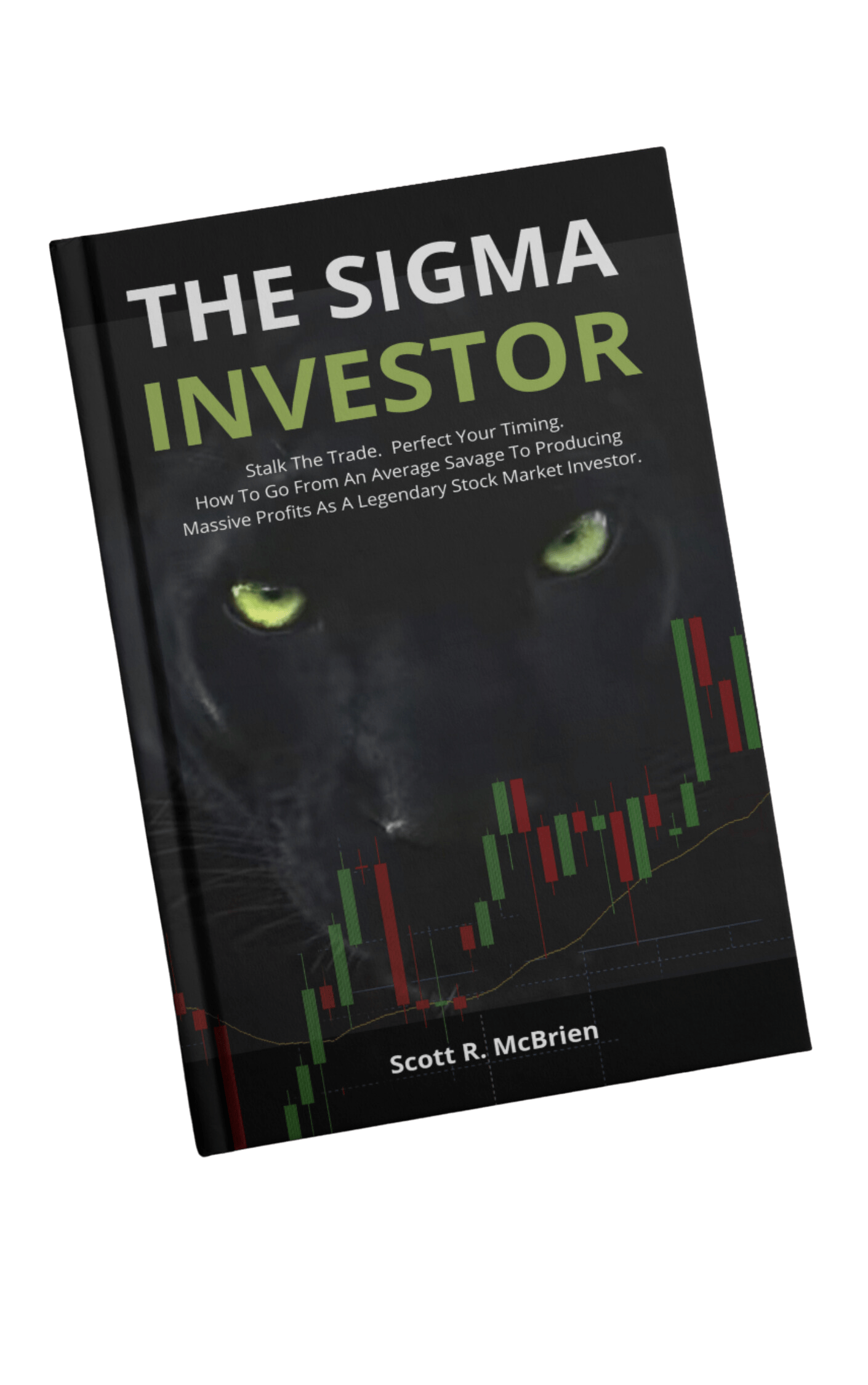 The Sigma Investor book