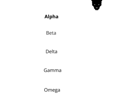 Why do we call ourselves The Sigma Investor™?