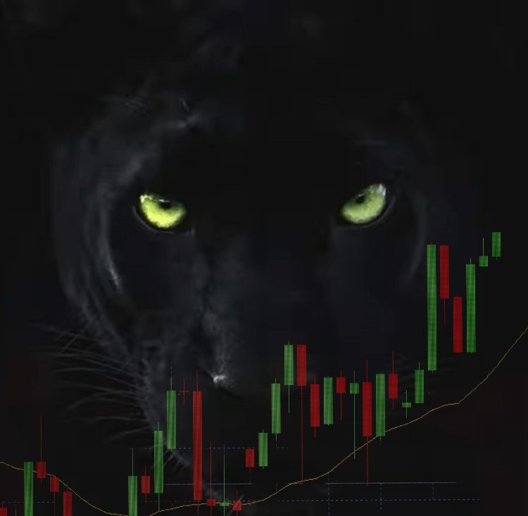 panther hunting behind chart