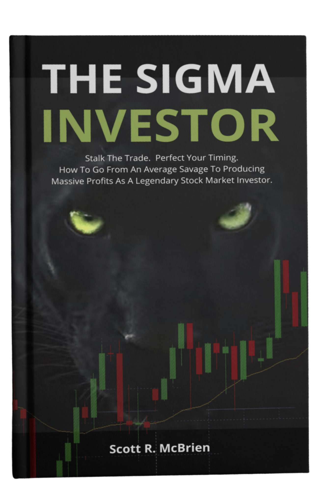 The Sigma Investor book